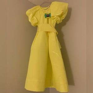 NEON IRIDESCENT GREENISH YELLOW DRESS (CHRISTOPHER JOHN ROGERS X TARGET)